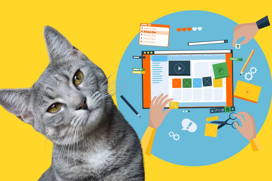 tabby-cat-with-head-tilted-looking-at-webpage-graphic